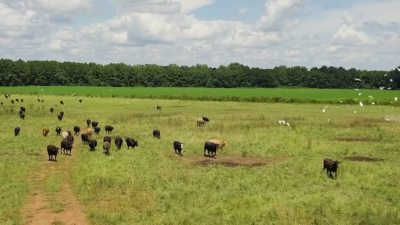 5 ON YOUR SIDE: Regenerative agriculture — Owatonna Health news
